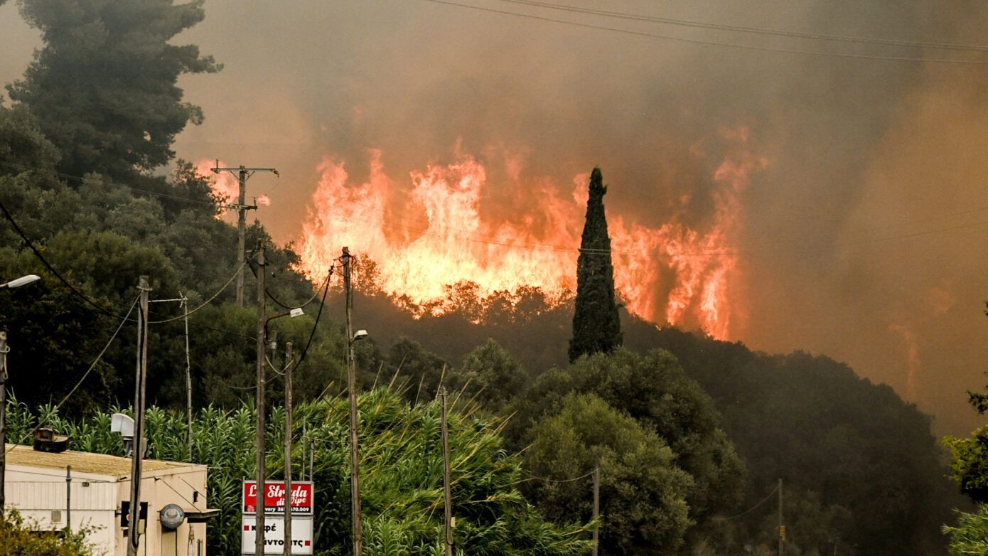 Πάτρα: Πώς η καταστροφική πυρκαγιά μεταμόρφωσε τη βλάστηση και το μικροκλίμα – «Η κατάσταση δεν θα είναι ποτέ ξανά ίδια»
