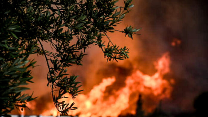 Παρακολουθήστε ζωντανά τις φωτιές από δορυφόρους της NASA
