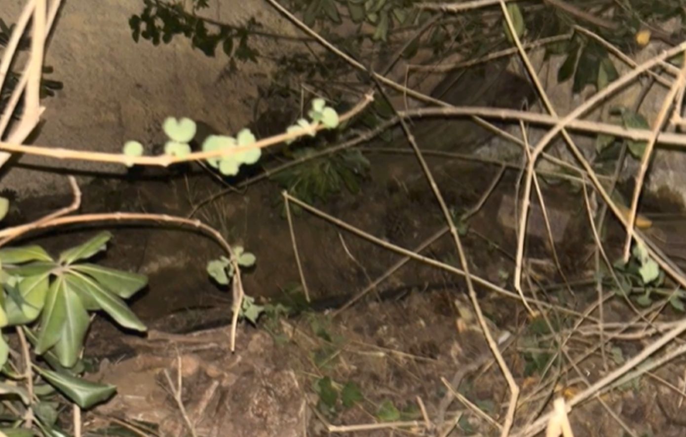 Άγνωστο πότε θα ανοίξει ξανά το Άλσος Χωροφυλακής