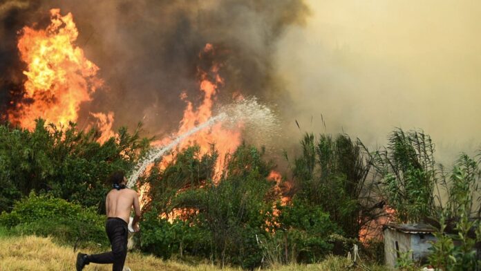 Πυρκαγιές στην Ελλάδα: Περίπου 100.000 στρέμματα έχουν καταστραφεί από τις φλόγες – Δείτε εικόνες και χάρτες