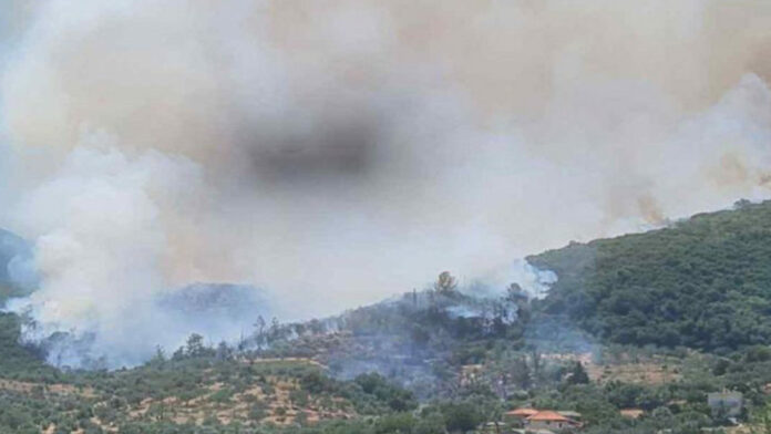Πυρκαγιά στον Αμμότοπο Άρτας