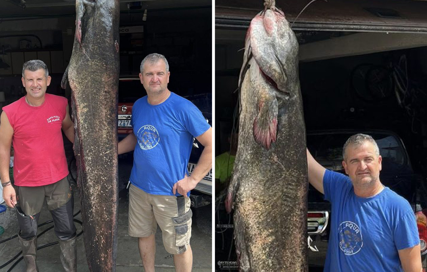 Η αλιευτική επιτυχία της δεκαετίας: Γουλιανός 2,7 μέτρων και 100 κιλών στη λίμνη Πολυφύτου