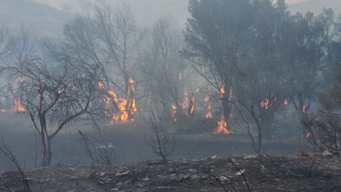 Πύρινη κόλαση στη Χίο: Διάσωση εγκλωβισμένων από τις παραλίες Λημνιά και Αγία Μαρκέλλα