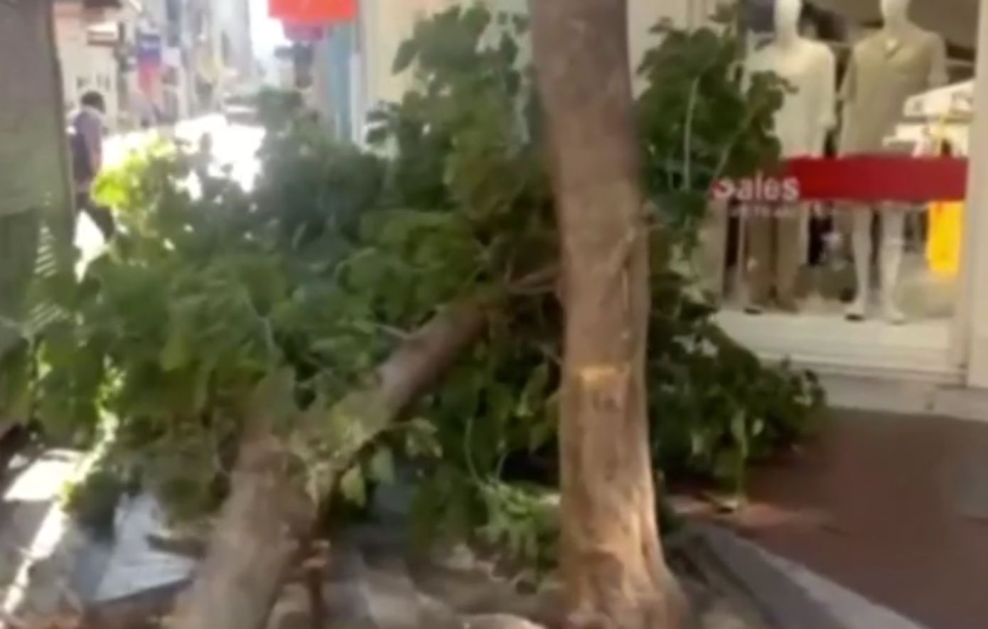 Δέντρο καταρρέει στην Ερμού από δυνατούς ανέμους – Χάος στο κέντρο της Αθήνας