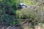 Αυτοκίνητο κατέληξε σε γκρεμό στη Στυλίδα – Η πυκνή βλάστηση απέτρεψε βέβαιη τραγωδία για τους επιβάτες