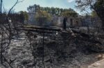 Κατευθύνσεις του υπουργείου Υγείας για τις πληγείσες περιοχές – Πώς να επιστρέψετε με ασφάλεια στις πυρόπληκτες περιοχές