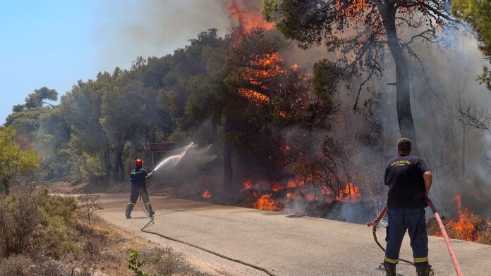 Η δασική πυρκαγιά στο Σύνδενδρο Γρεβενών υποχωρεί – Νέο μέτωπο φωτιάς κοντά στο Δοξαρά