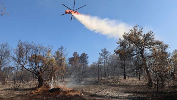 Ελέγχθηκε η φωτιά στην Κάντζα Αττικής – 28 αγροτοδασικές πυρκαγιές το τελευταίο 24ωρο