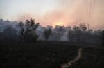 Κακούργημα αντιμετωπίζει ο δημοτικός υπάλληλος που συνελήφθη για εμπρησμούς στην Παλλήνη