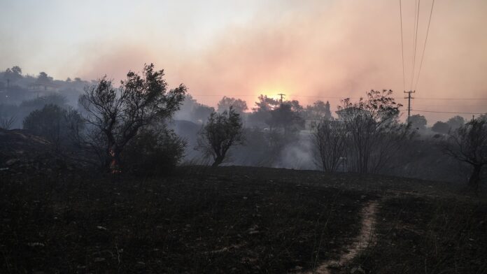 Κακούργημα αντιμετωπίζει ο δημοτικός υπάλληλος που συνελήφθη για εμπρησμούς στην Παλλήνη