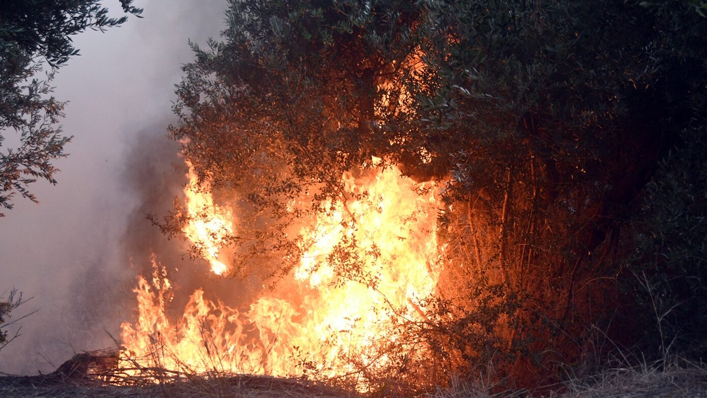 Πυρκαγιά στη Μεσσηνία – Απειλεί κατοικίες στον Μελιγαλά, ειδοποίηση 112 για εκκένωση περιοχής