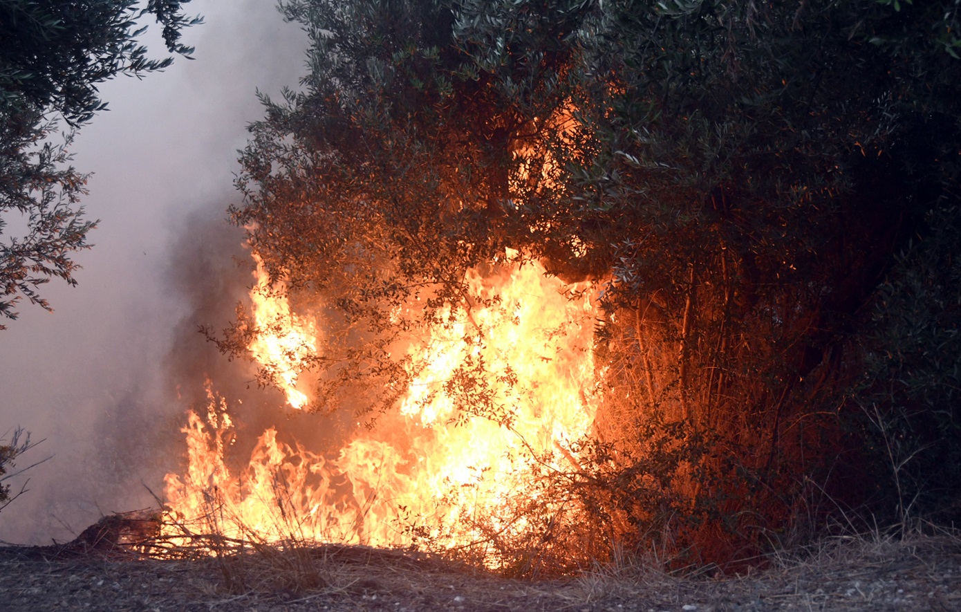 Πυρκαγιά στη Μεσσηνία – Απειλεί κατοικίες στον Μελιγαλά, ειδοποίηση 112 για εκκένωση περιοχής