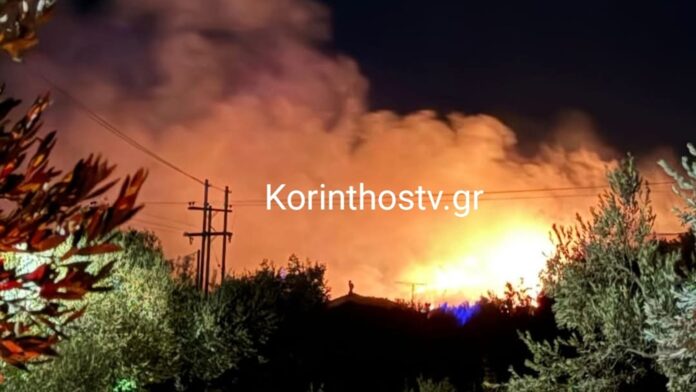 Κατασβέστηκε η φωτιά σε αγροτική περιοχή της Κορινθίας