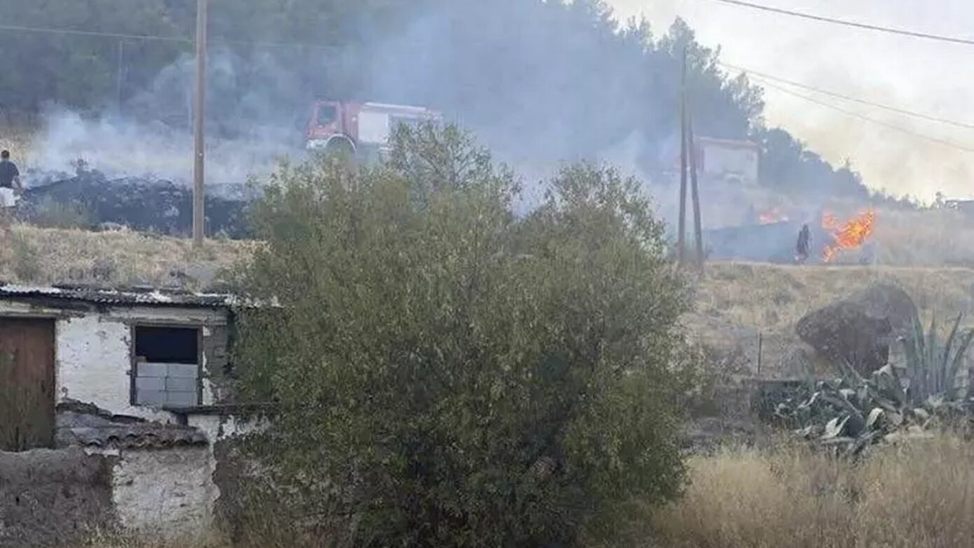 Ανήλικος έβαλε φωτιά στα Δάφια Λέσβου λόγω ενοχλητικών χόρτων – Συνελήφθη