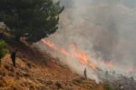 Συνελήφθη 57χρονος στη Λέσβο για ομολογία τεσσάρων εμπρησμών