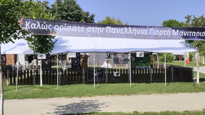 Ξεκινά σήμερα η 19η Πανελλήνια Γιορτή Μανιταριού στα Γρεβενά
