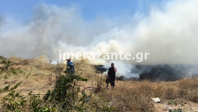 Πυρκαγιά στη Ζάκυνθο σε κατοικημένη ζώνη – Η άμεση αντίδραση της πυροσβεστικής απέτρεψε τα χειρότερα