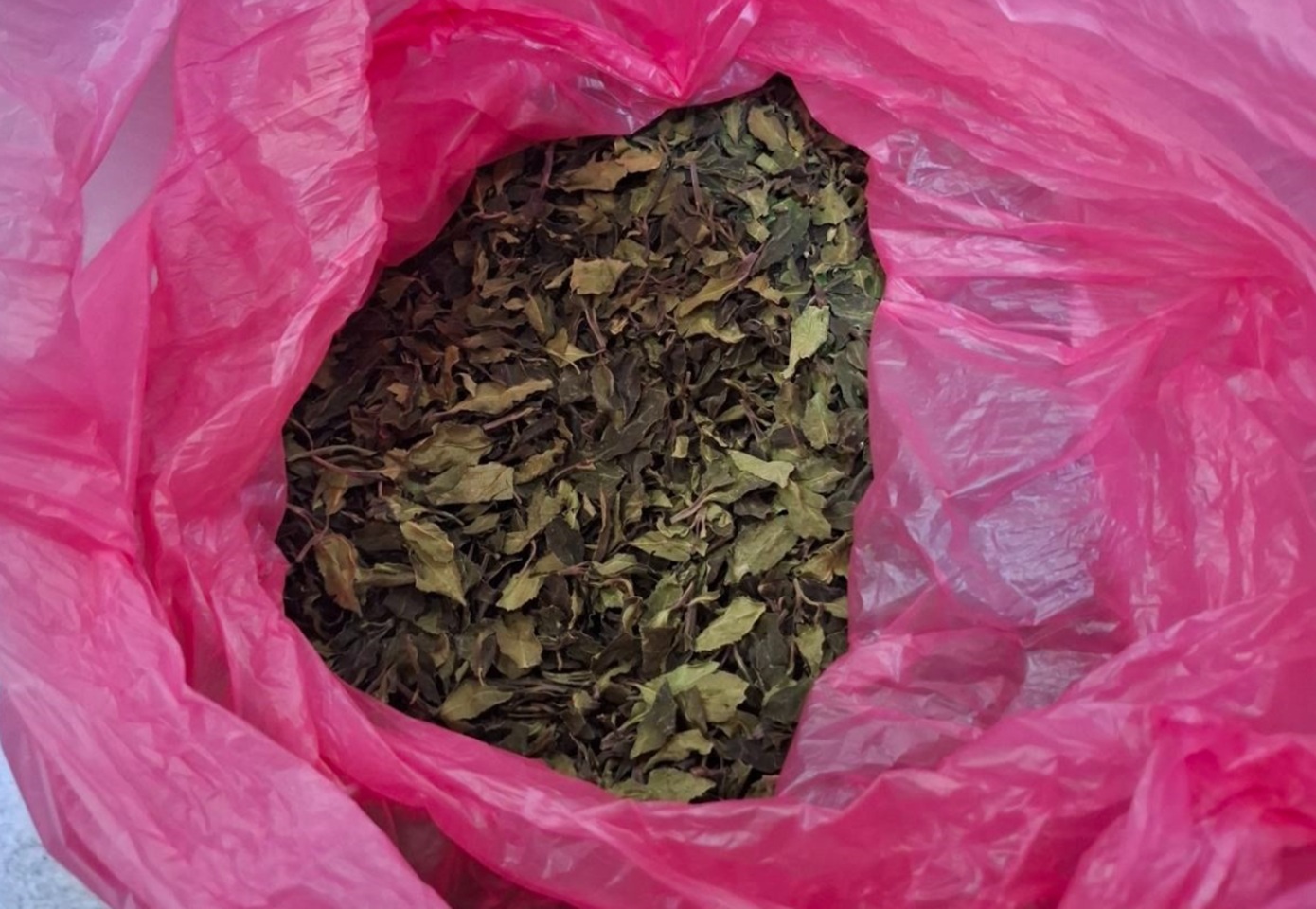 Η ΑΑΔΕ ανακάλυψε μισό τόνο ναρκωτικών αξίας 1.500.000 ευρώ