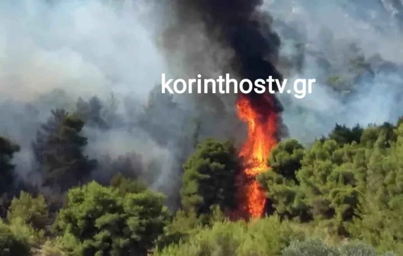 Πυρκαγιά στην Αρχαία Νεμέα Κορινθίας – Επιστρατεύονται 6 αεροπλάνα και 1 ελικόπτερο