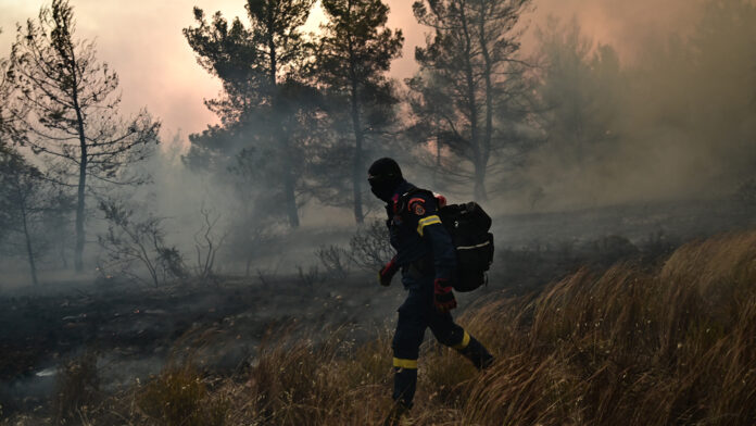 Πυρκαγιά στα Παλιάμπελα Βόνιτσας – Ενεργοποιήθηκε το 112, καλώντας τους κατοίκους σε επαγρύπνηση