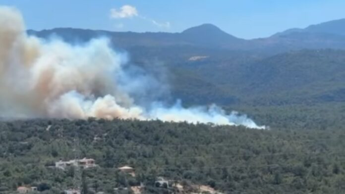 Συναγερμός στον Άγιο Νικόλαο Κρήτης: Πυρκαγιά σε δασική περιοχή στο Βαθύ – Ενεργοποιήθηκε το 112 για προετοιμασία