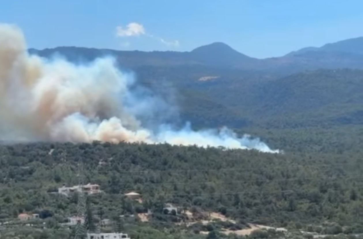 Συναγερμός στον Άγιο Νικόλαο Κρήτης: Πυρκαγιά σε δασική περιοχή στο Βαθύ – Ενεργοποιήθηκε το 112 για προετοιμασία