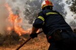 Δήμαρχος Νεμέας: Η πυρκαγιά ελέγχεται – Δημιουργούνται αντιπυρικές ζώνες