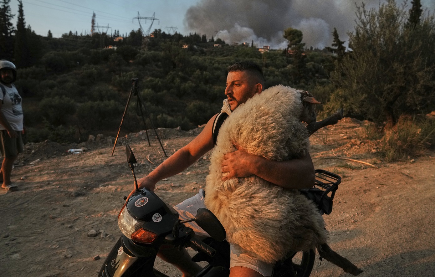 Ολσιέν Μουτσομπέγκα: «Λατρεύω τα ζώα» – Ο 33χρονος Αλβανός που έγινε viral με το πρόβατο στη μοτοσικλέτα