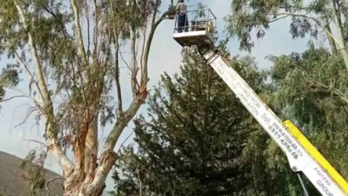 Ενίσχυση για κλαδοκοπές και έργα οδικής ασφάλειας στη Φθιώτιδα