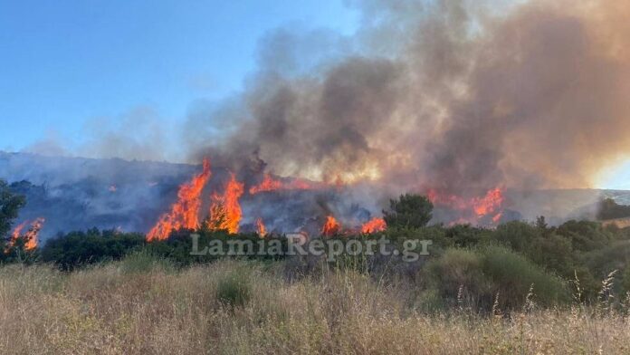 Συναγερμός για φωτιά σε παραθαλάσσια ζώνη στα Καμμένα Βούρλα