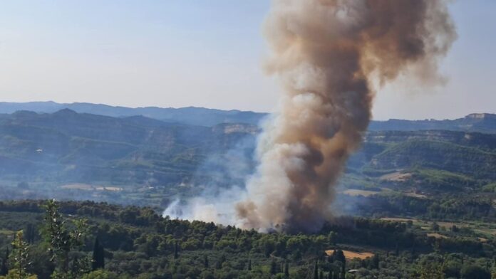 Οι πυρόπληκτοι στο προσκήνιο του δημοτικού συμβουλίου Αρχαίας Ολυμπίας