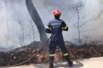 Eurostat: Η Ελλάδα δεύτερη στην ΕΕ σε πυροσβεστικές δυνάμεις – Πάνω από το διπλάσιο του ευρωπαϊκού μέσου όρου