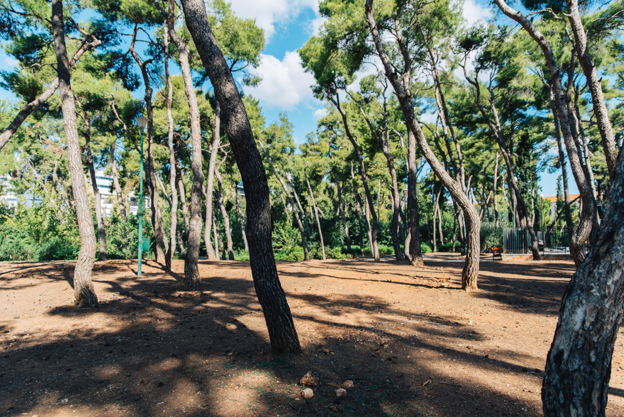 Δήμος Αθηναίων: Το Άλσος Χωροφυλακής θα μείνει κλειστό μέχρι νεότερης ειδοποίησης