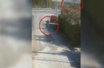 Η στιγμή που ο 62χρονος ύποπτος εμπρηστής αποχωρεί από το σημείο της πυρκαγιάς στην Κάντζα – Δείτε βίντεο