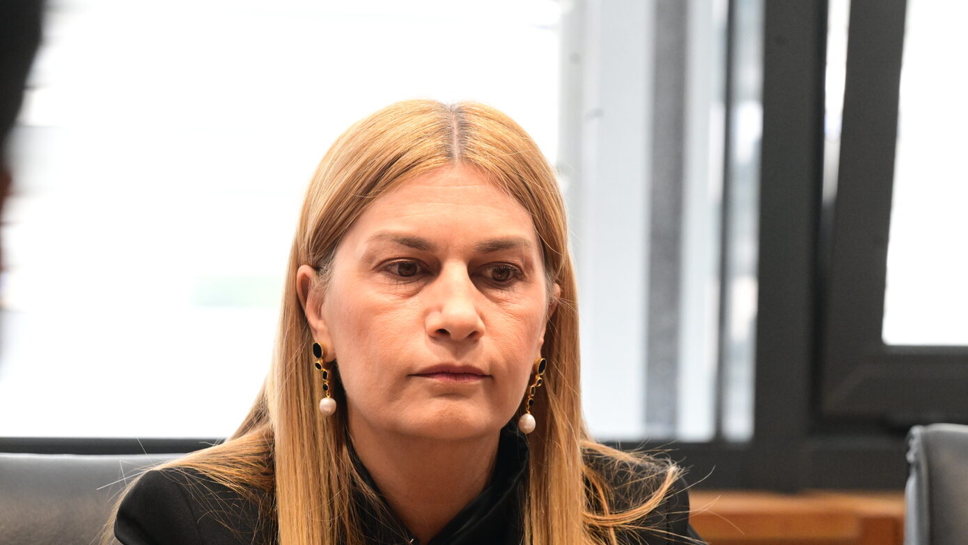 Βολουδάκη: Το νομοσχέδιο για τη μετανάστευση επιβάλλει αυστηρότερες ποινές για παράνομη είσοδο