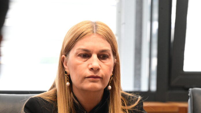 Βολουδάκη: Το νομοσχέδιο για τη μετανάστευση επιβάλλει αυστηρότερες ποινές για παράνομη είσοδο