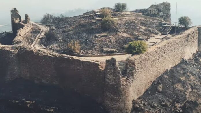 Συγκλονιστικό βίντεο drone: Η έκταση της καταστροφής από τη φωτιά στη Χίο