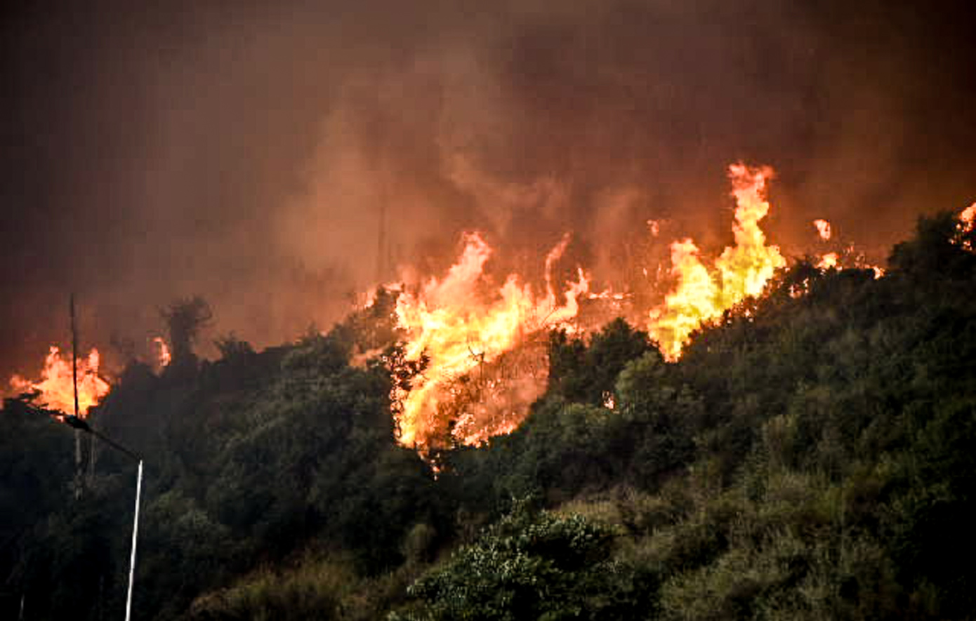 Οι πιο εκτεταμένες δασικές πυρκαγιές στην Ελλάδα το καλοκαίρι του 2025 – Η 5η πιο καταστροφική χρονιά από το 2006
