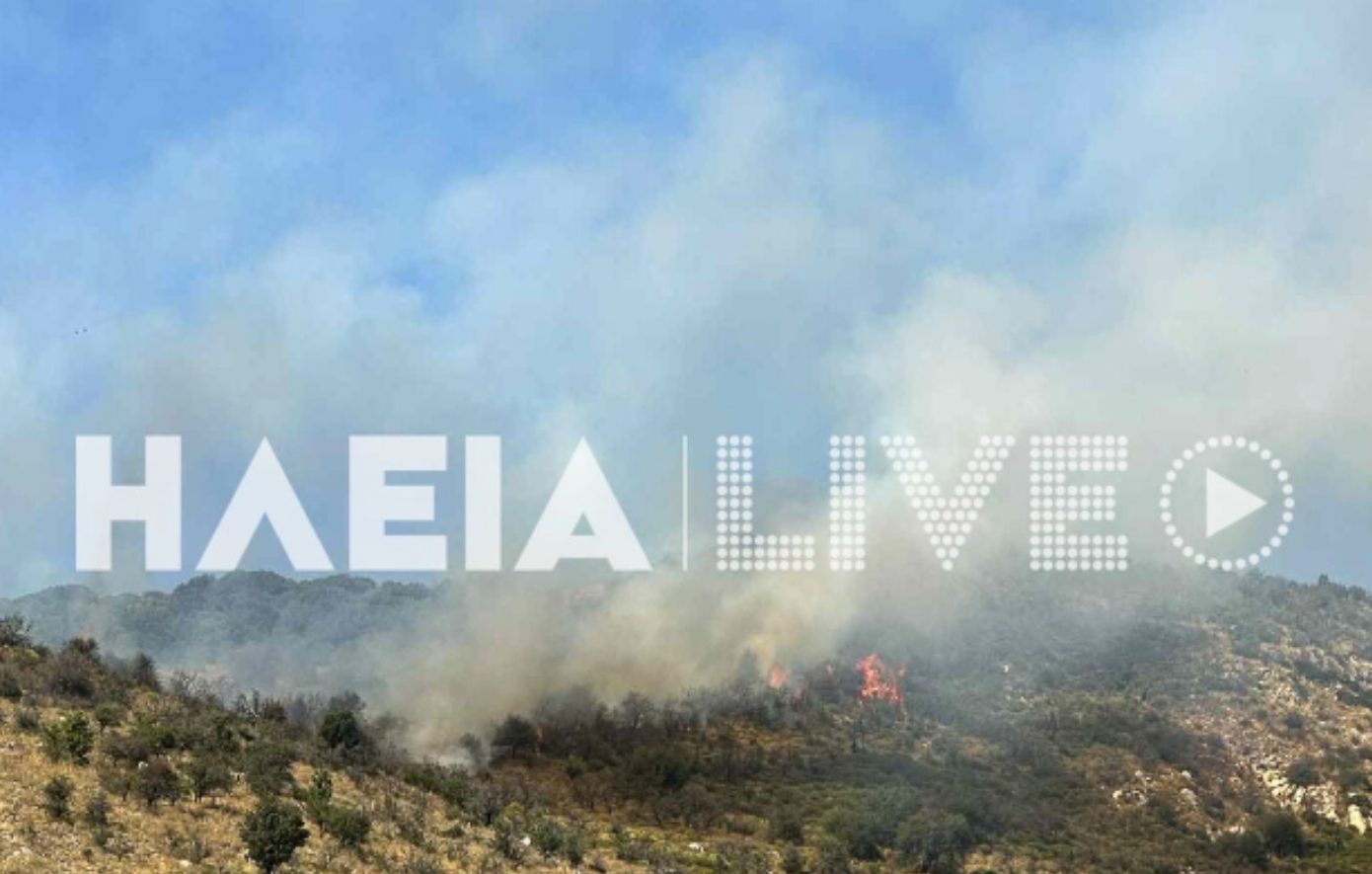 Πυρκαγιά σε δασική περιοχή στη Σπαρτουλιά Ηλείας – Δραστηριοποιούνται εναέρια μέσα