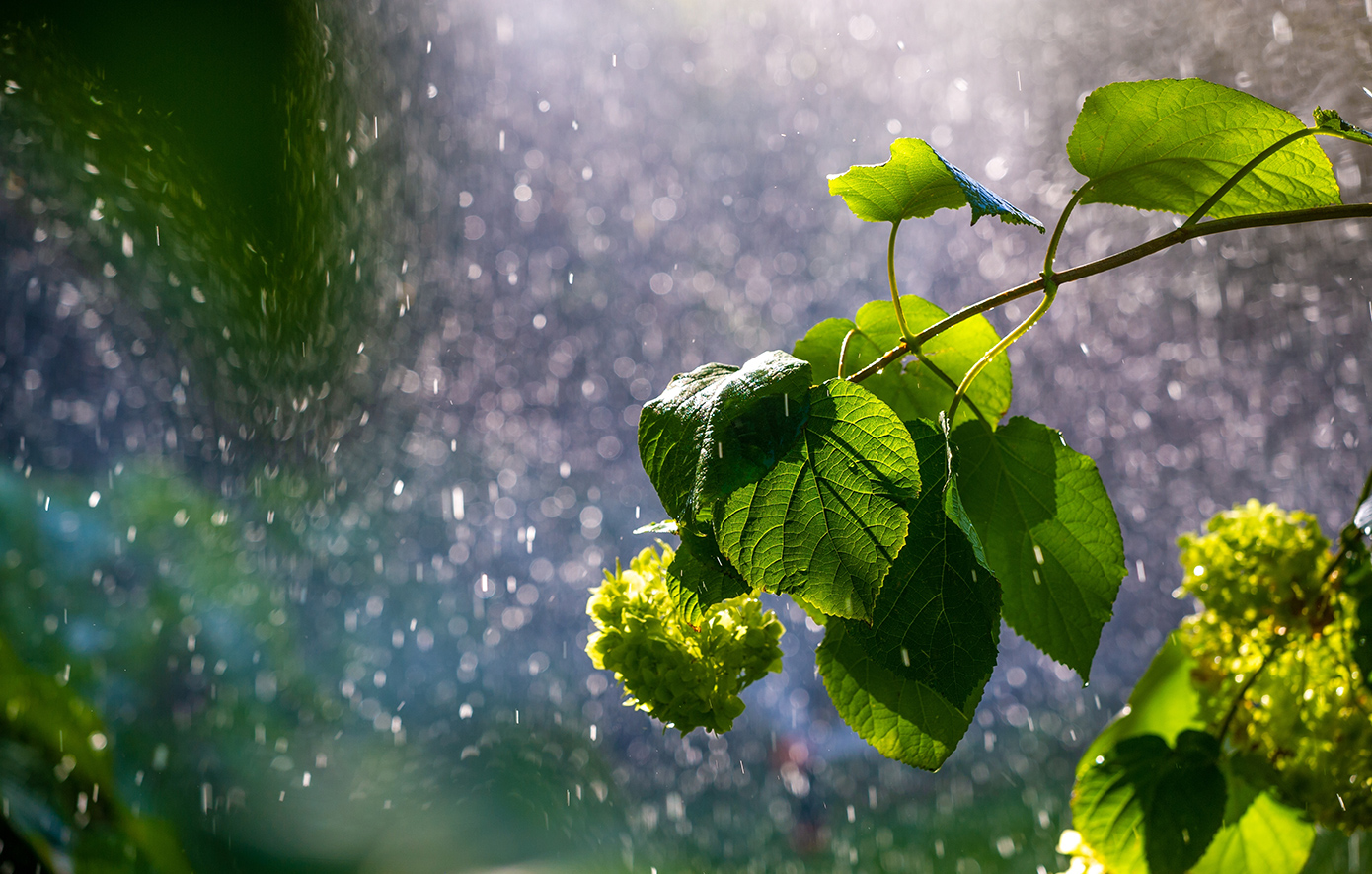 Καιρός: Φθινοπωρινές νότες στην αρχή της εβδομάδας, πιθανές μπόρες στην Αττική το απόγευμα