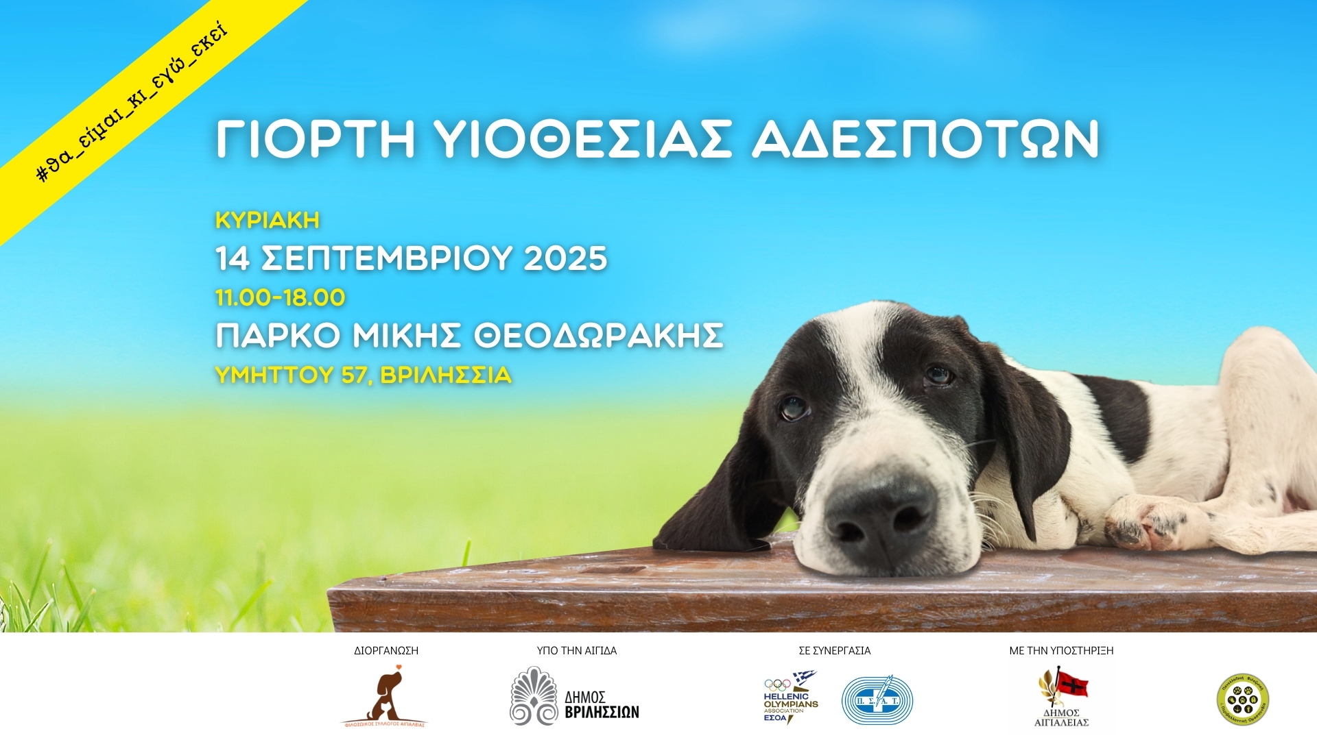 Δ.Βριλησσίων: Εκδήλωση υιοθεσίας αδέσποτων την Κυριακή 14/9