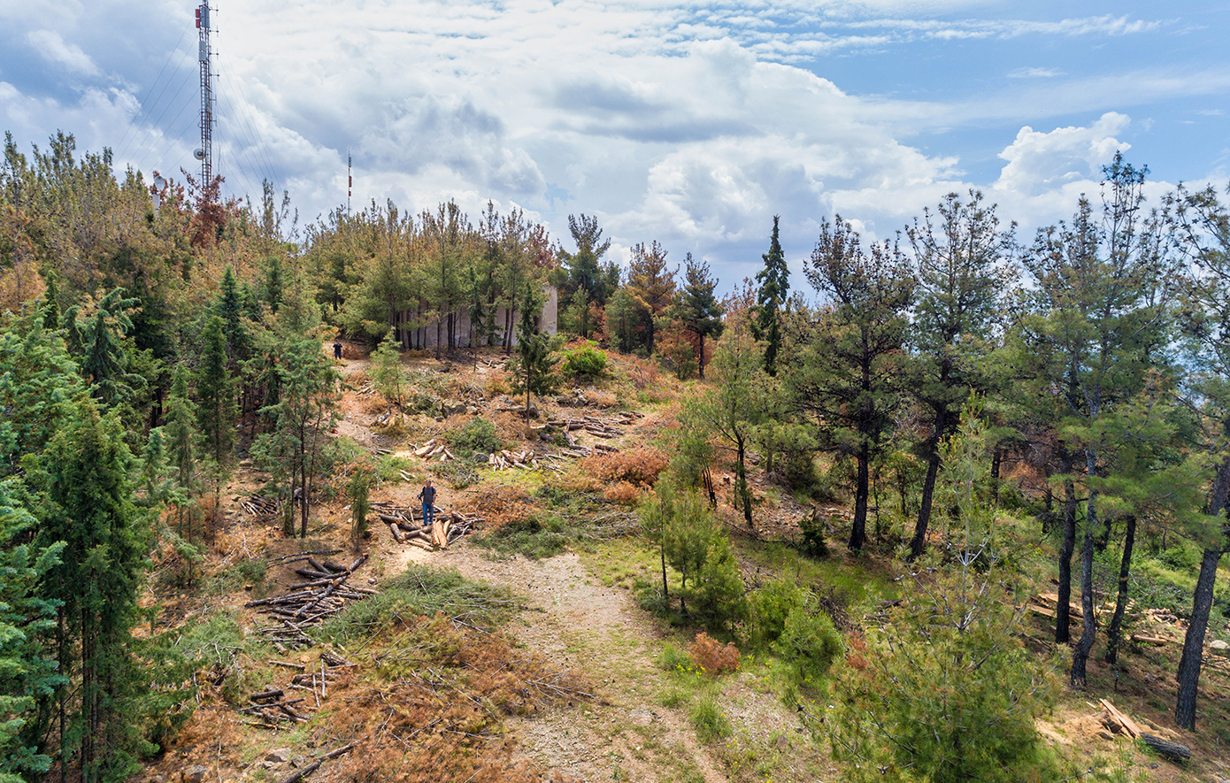 Σκότωσε αρνί στο Σέιχ Σου για το κουρμπάνι – Κακουργηματική κατηγορία σε 51χρονο