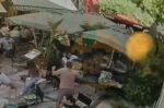 “Η δραματική πτώση του δέντρου στην πλατεία Αγίας Ειρήνης”