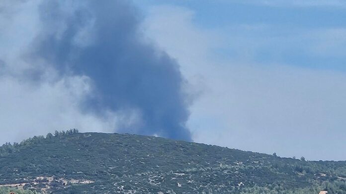 Πυρκαγιά σε δασική περιοχή στην Πυλαία Θεσσαλονίκης – Ενεργοποιήθηκε το 112