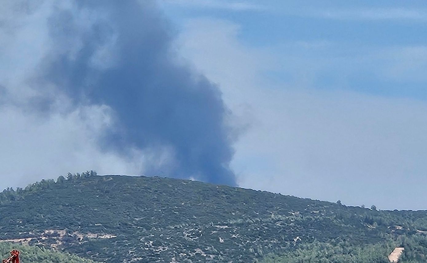 Πυρκαγιά σε δασική περιοχή στην Πυλαία Θεσσαλονίκης – Ενεργοποιήθηκε το 112