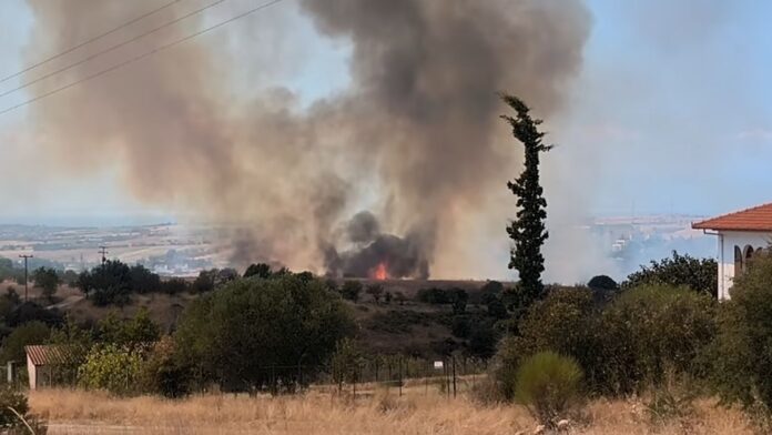 Πυρκαγιά σε χαμηλή βλάστηση στο Πλαγιάρι Δήμου Θέρμης
