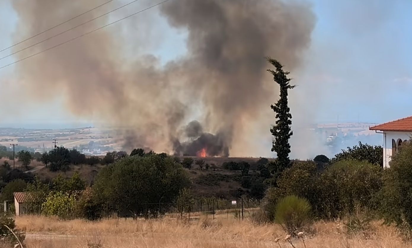 Πυρκαγιά σε χαμηλή βλάστηση στο Πλαγιάρι Δήμου Θέρμης