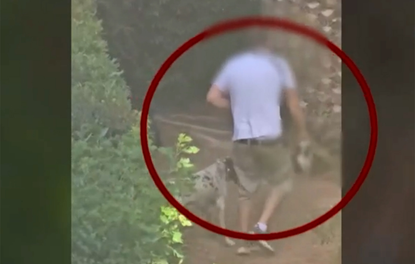 Φρίκη στην Πεύκη: Άνδρας εκπαιδεύει κυνηγόσκυλα να πνίγουν γατάκια σε πάρκο