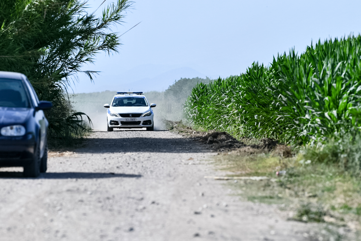 Σοκ στη Βοιωτία: Η 62χρονη παρουσίασε γειτόνισσα ως μητέρα για να διατηρήσει τη σύνταξη