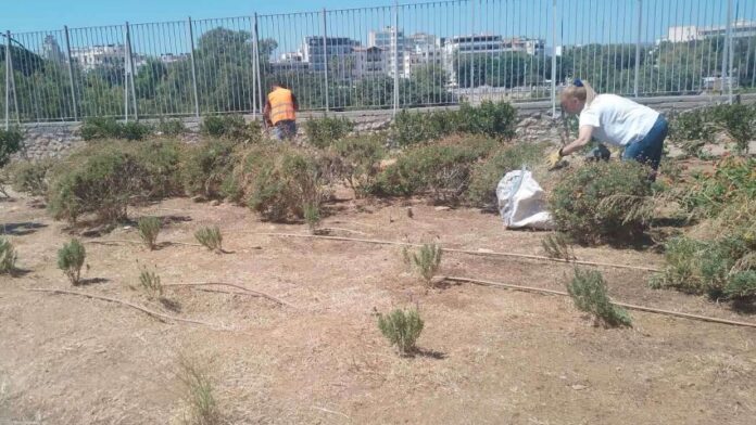 Φροντίδα των πράσινων χώρων στα σχολεία του Δ. Ηρακλείου Κρήτης